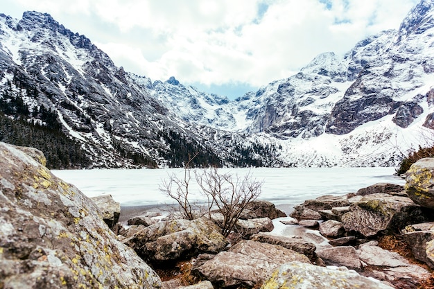 Free photo rock near the lake and mountain in summer