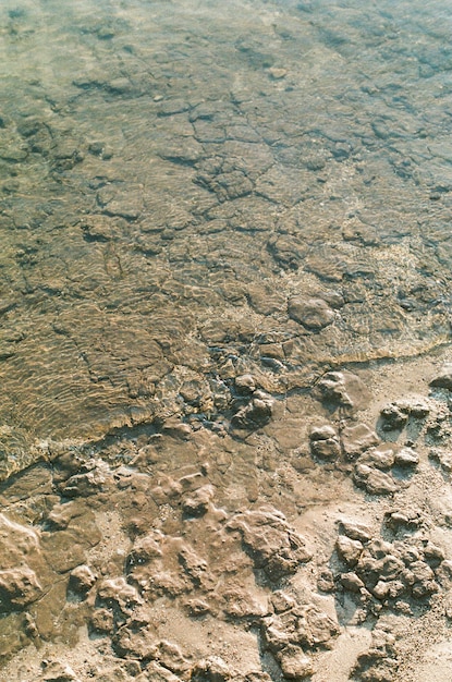 Free Photo rocks on a beach covered by the crystal clear water