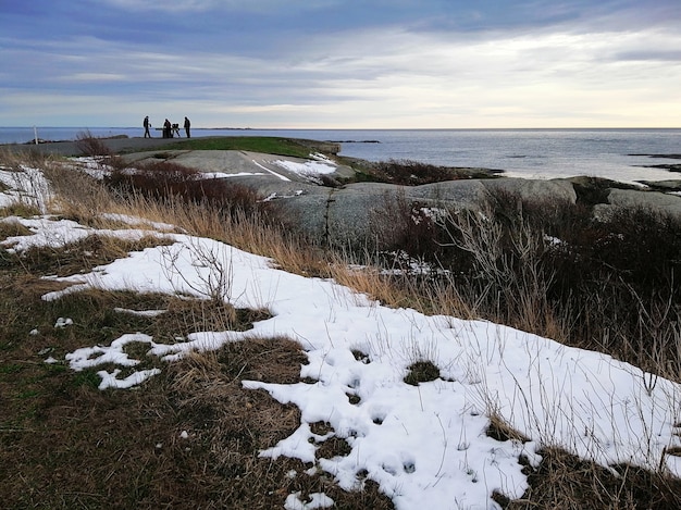 Rocks covered in branches and snow surrounded by the sea under a cloudy sky in Rakke in Norway