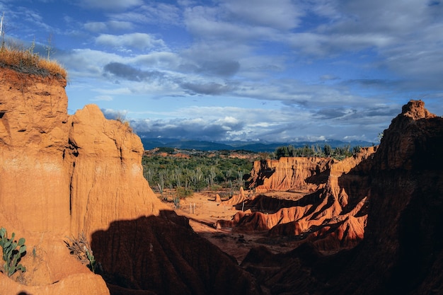 Free Photo rocks and wild plants under the cloudy sky at the tatacoa desert, colombia