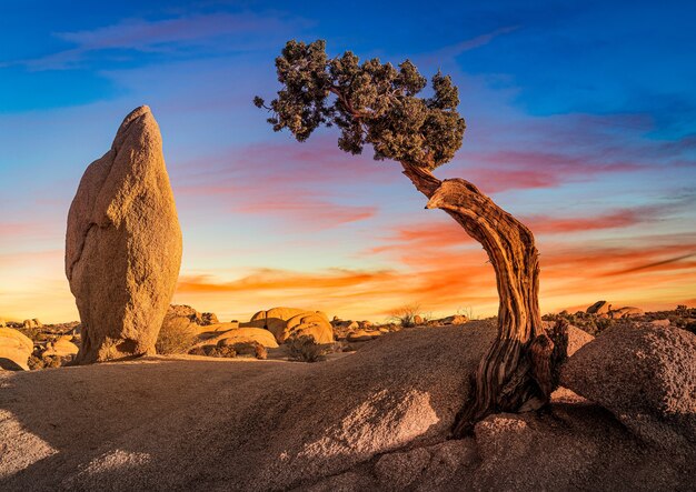 Rocky natural landscape