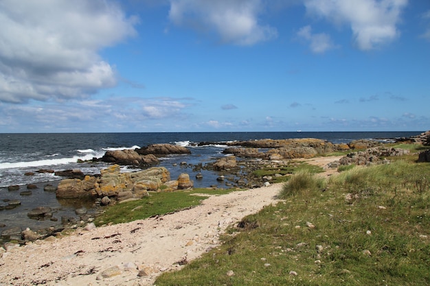 Free Photo rocky seascape on a summer day in hammer odde, bornholm, denmark