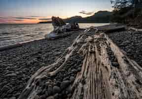 Free photo rocky seascape in vancouver