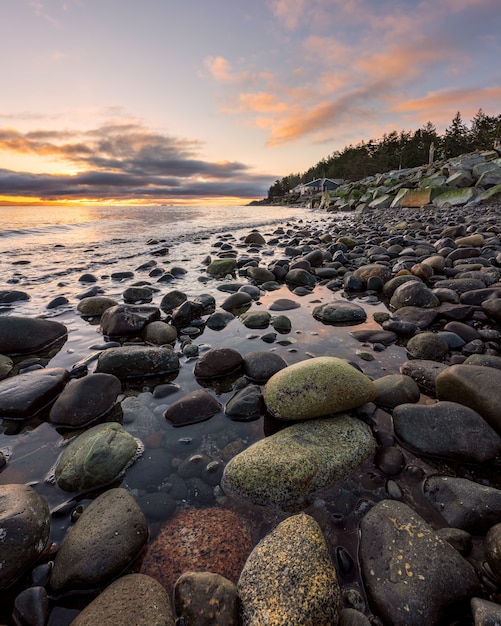 Rocky Seashore During Golden Hour