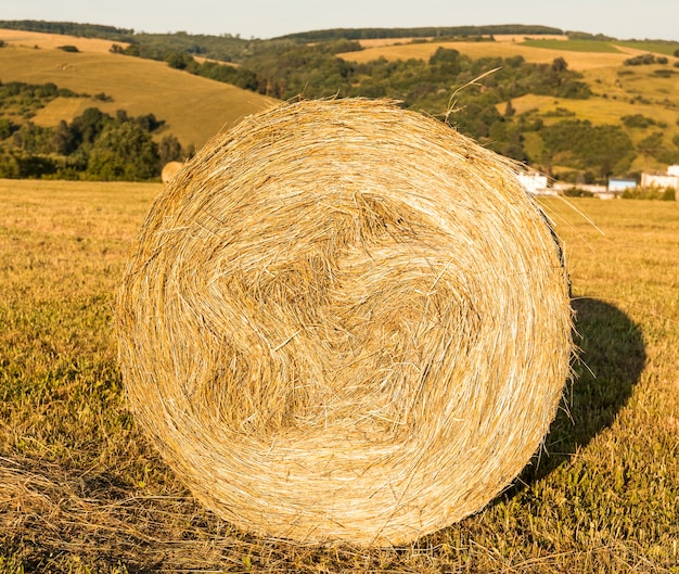 Free photo roll of hays in the field