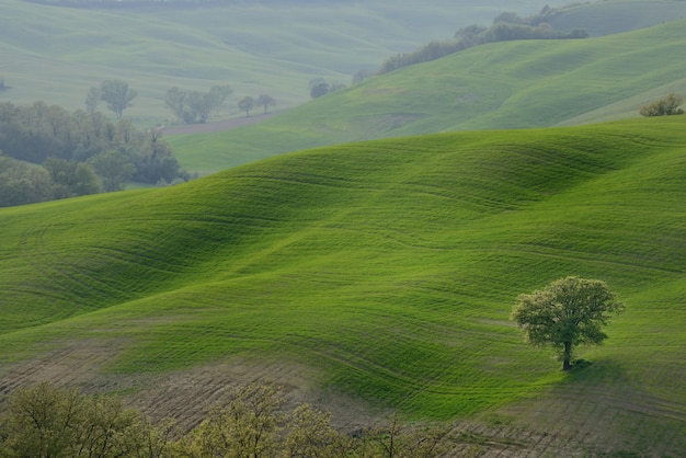 Free Photo rolling hills countryside