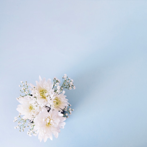 Romantic composition of gentle flowers on blue