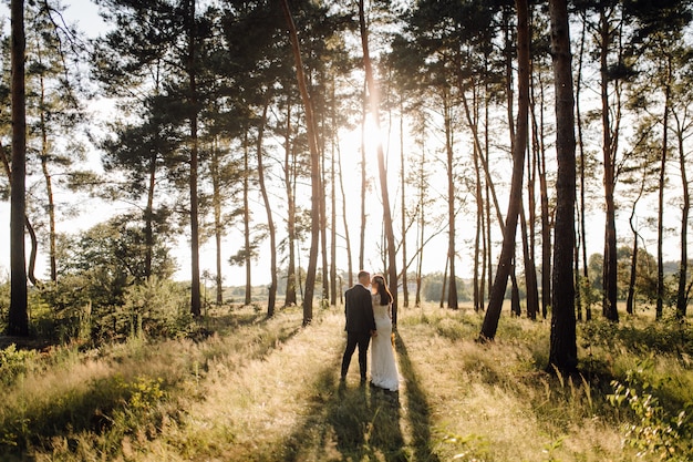 Free photo romantic photo in the fairy forest. beautiful woman