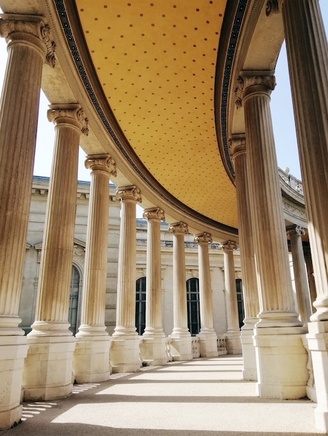 Free Photo roof and columns of the natural history museum of marseille under the sunlight in france