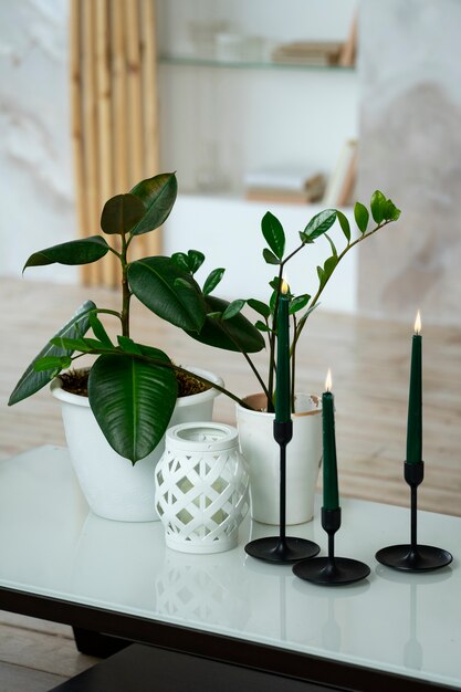 Room decor with potted plants and candles in holders