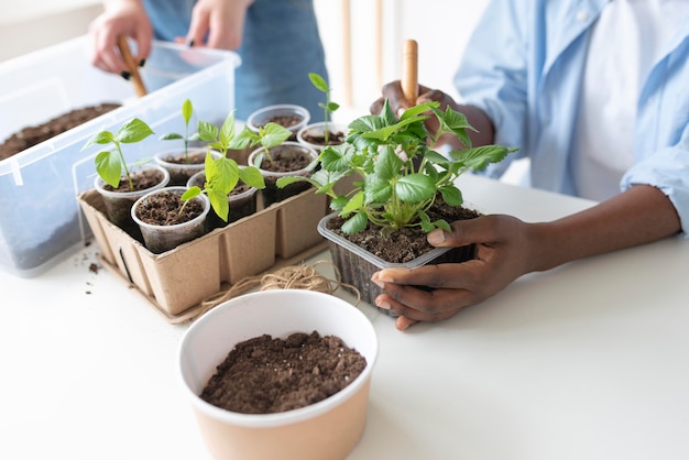 Free photo roommates having a sustainable garden indoors