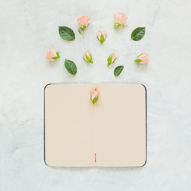 Rose flower and leaves over the blank notebook against concrete backdrop