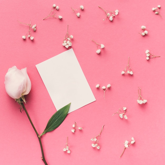 Rose flower with small paper on table