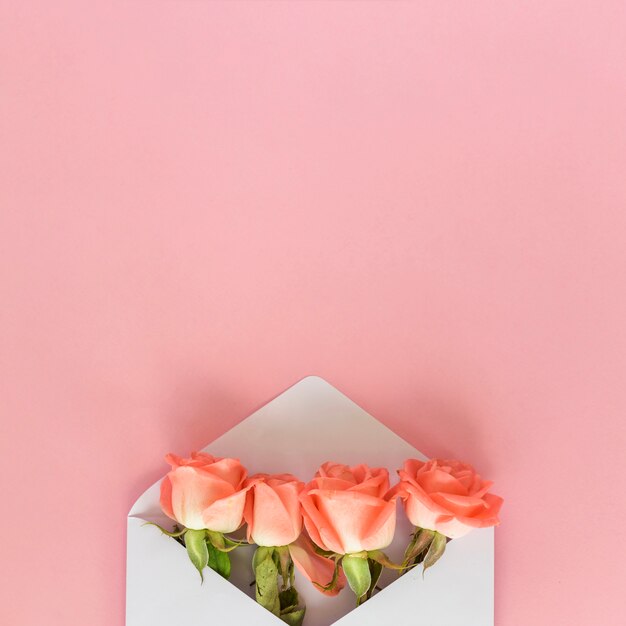 Rose flowers in envelope on pink table