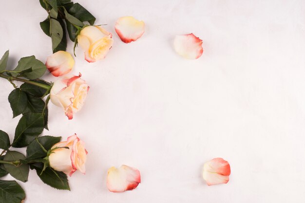 Rose flowers with petals on table