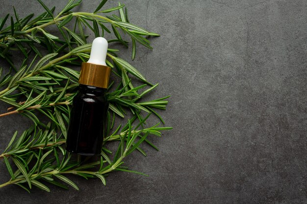 Rosemary oil in bottle with rosemary plants