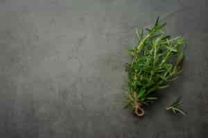 Free photo rosemary plants place on dark floor