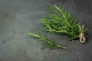 Free photo rosemary plants place on dark floor