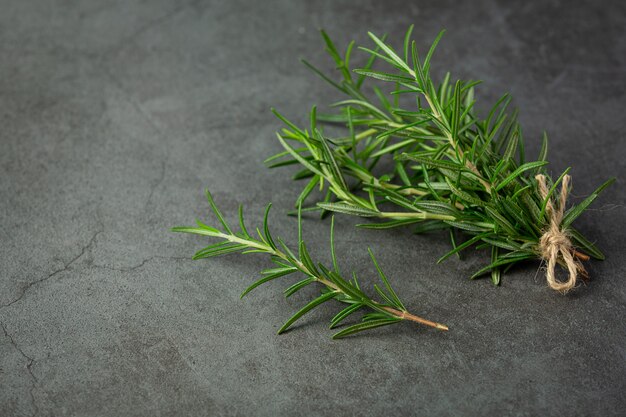 Rosemary plants place on dark floor