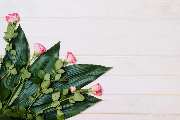 Roses on leaves