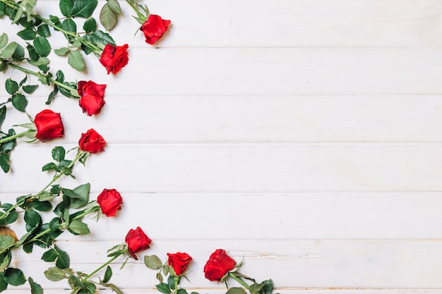 Roses lying in semicircle