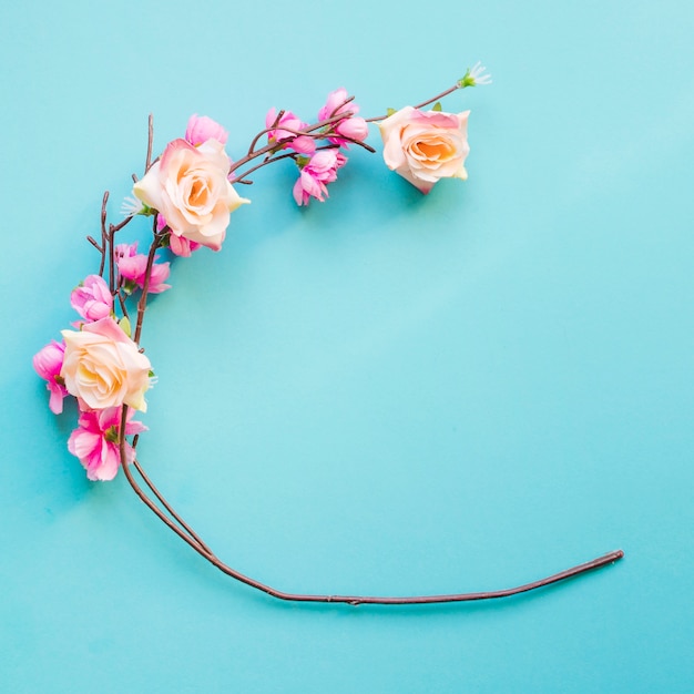 Free photo roses near blooming twig