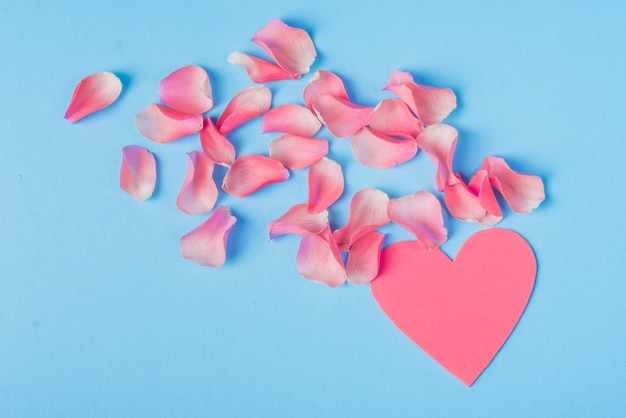 Roses petals with pink heart on table