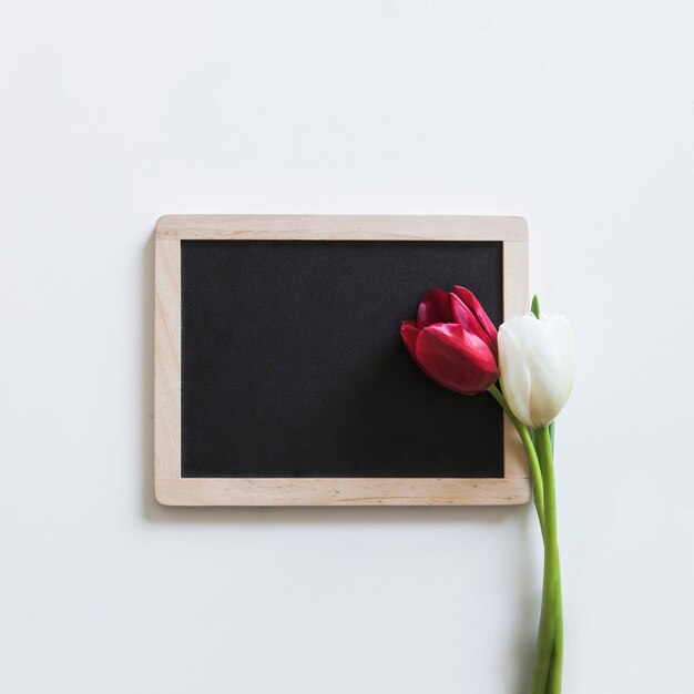 Roses on slate for spring