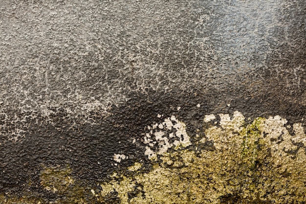 Rough concrete surface with moss