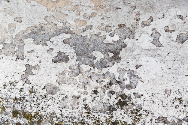 Free Photo rough concrete wall surface with aged appearance