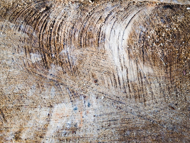 Rough wooden texture surface