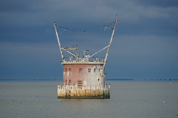 Free photo round fortress in the open sea with many black birds flying around