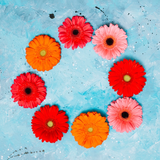 Free photo round frame from gerbera flowers on table