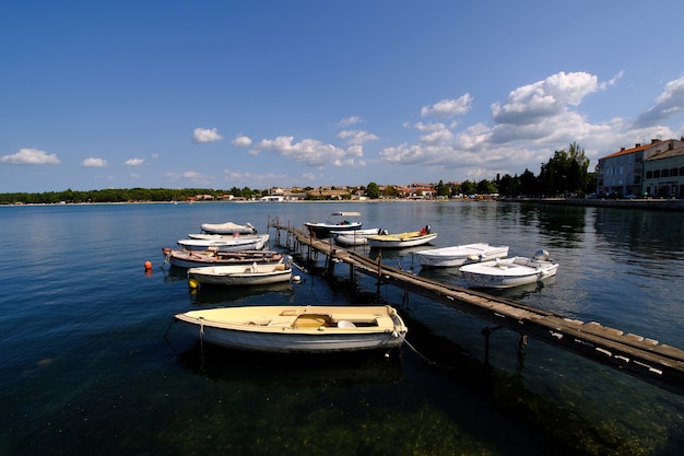 Free Photo rovinj summer time in croatia sea shore