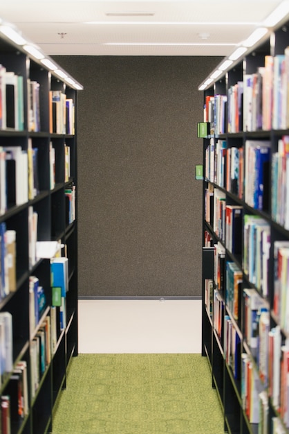 Row of bookcases