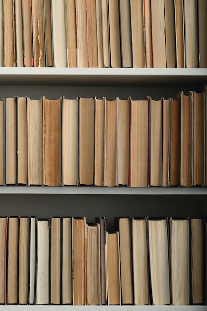 Free photo row of books on shelves, literature concept