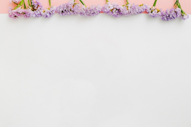 Free Photo row of purple flowers on white background