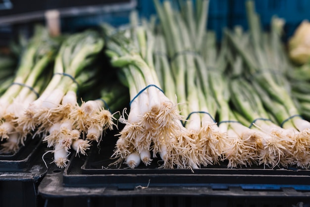 Free photo row of scallion bundle tied with rubber on crate