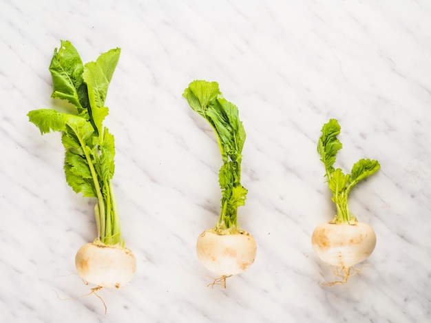 Free photo row of turnip vegetables on marble backdrop