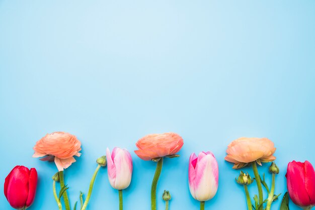 Row of various flowers on stems