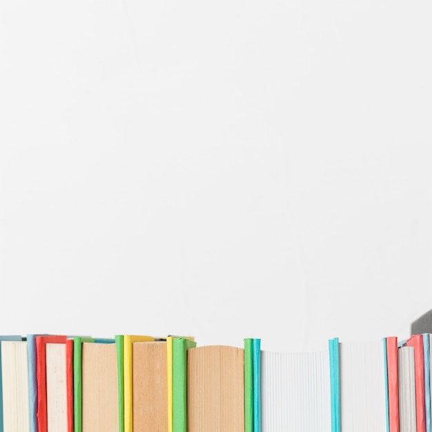 Row of various vivid books