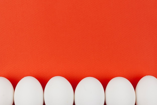 Row of white chicken eggs on red table