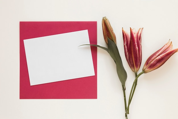 Royal lilies with red envelope and empty piece of paper