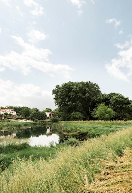 Free photo rural concept with beautiful trees