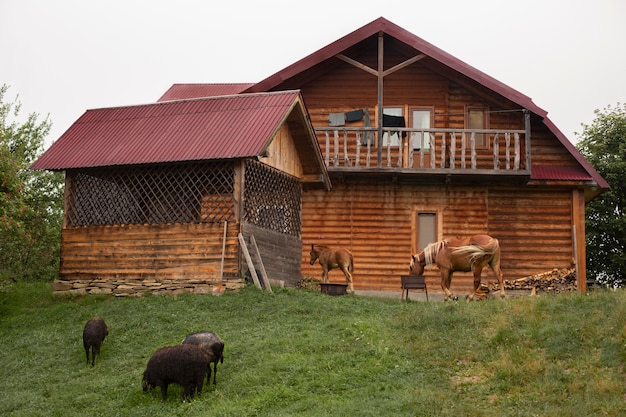 Free photo rural house surroundings in daylight