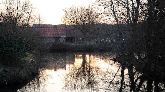 Free Photo rural landscape reflection of a tree in a pond at sunset