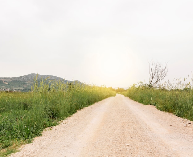 Free photo rural landscape with country road