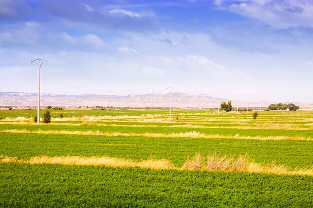 Rural landscape with fields in Aragon