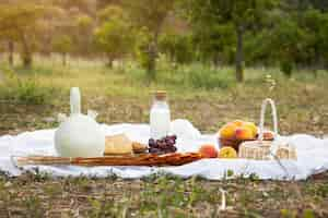 Free photo rural life concept with picnic outdoors