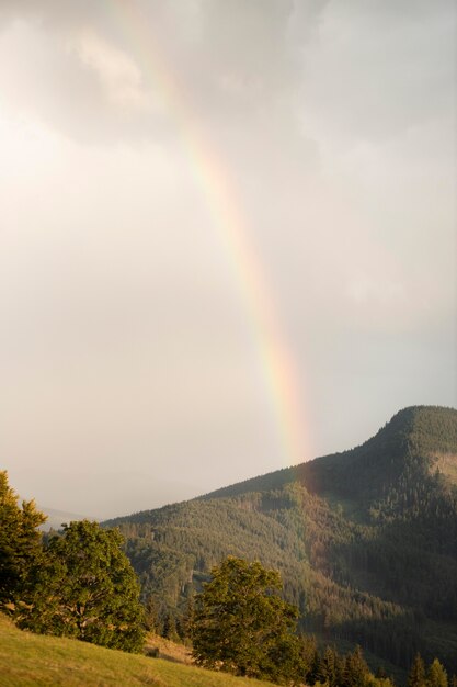 Rural view with a beautiful rainbow